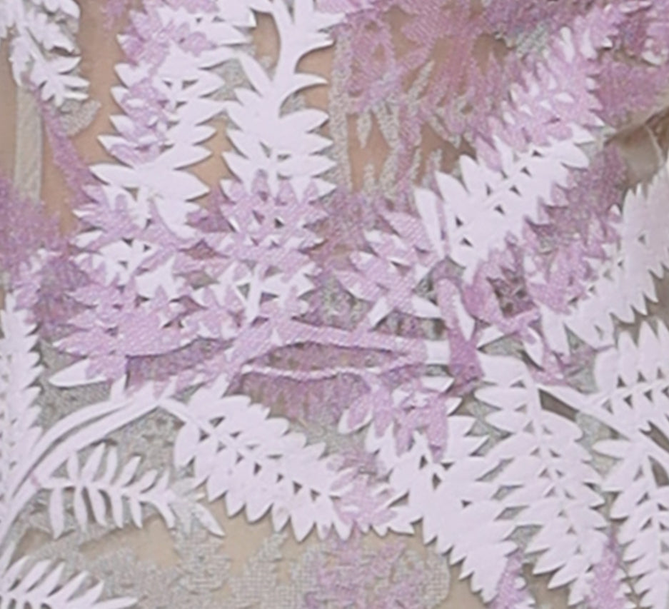 Lace ferns