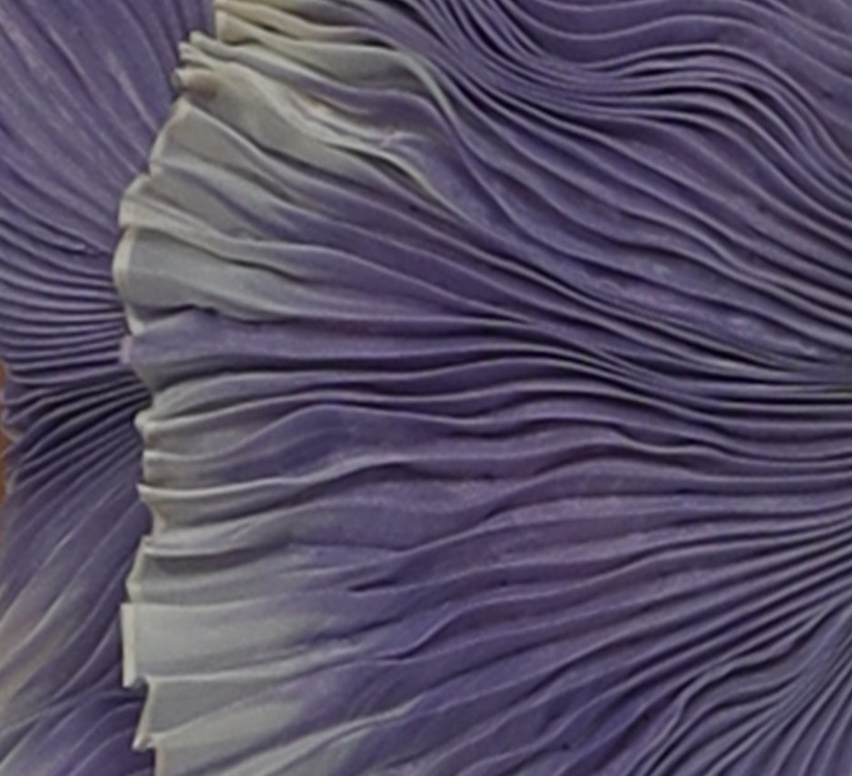 Fanned pleats