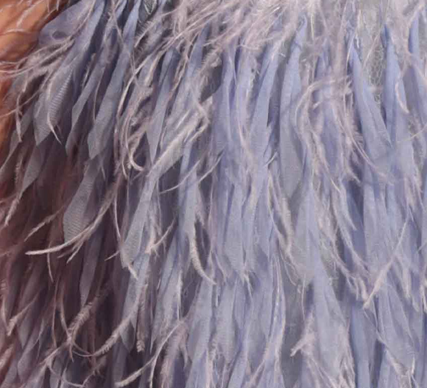 Feathers, all over