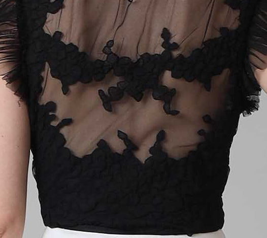 Lace on tulle