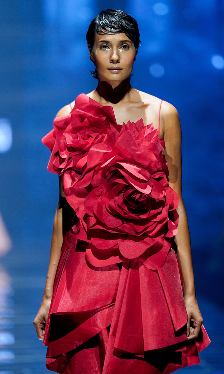Rose Dress