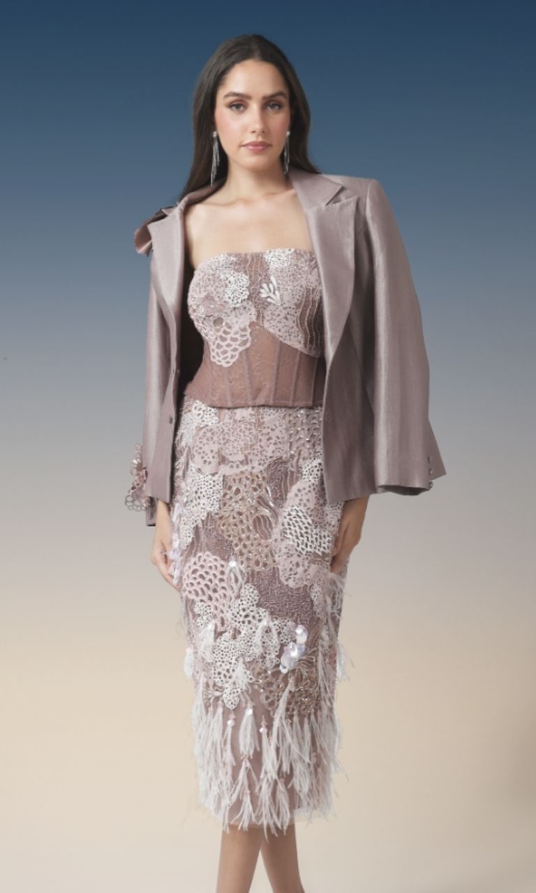 Blush Embellished Feathered Midi Dress