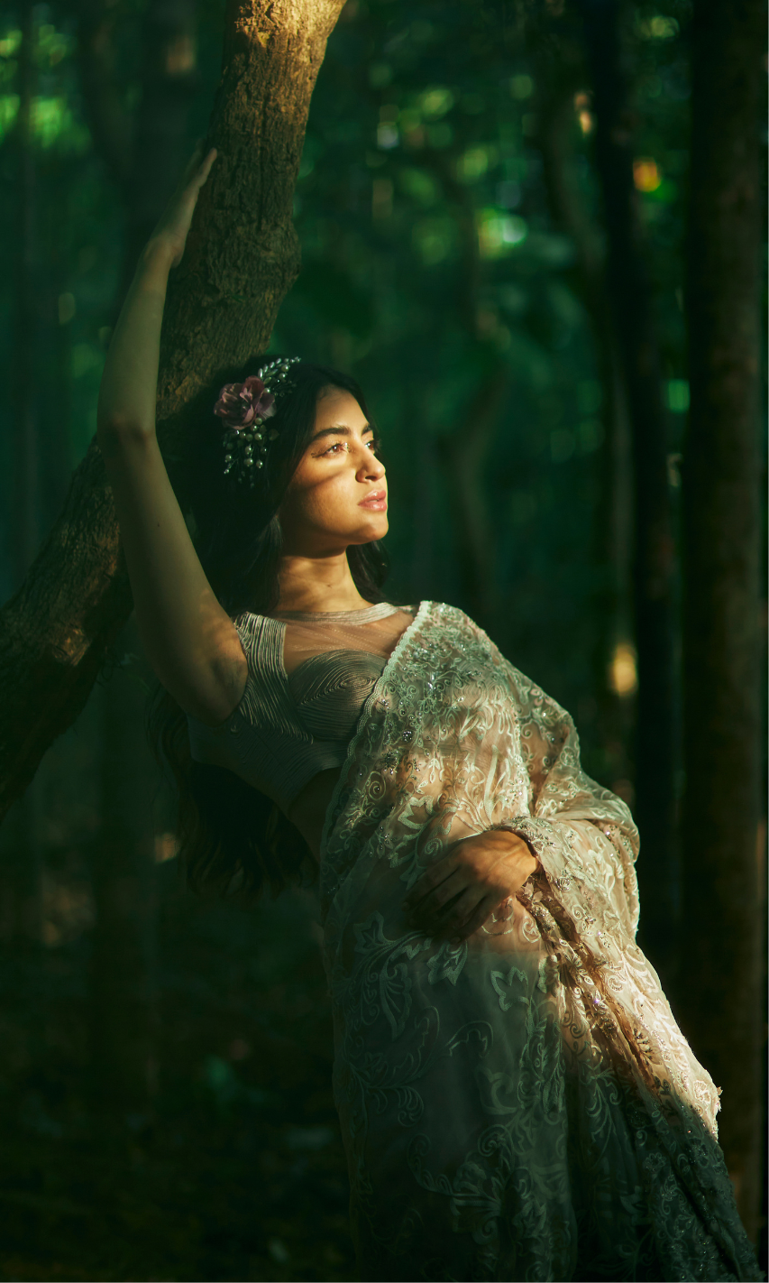 Dina Saree