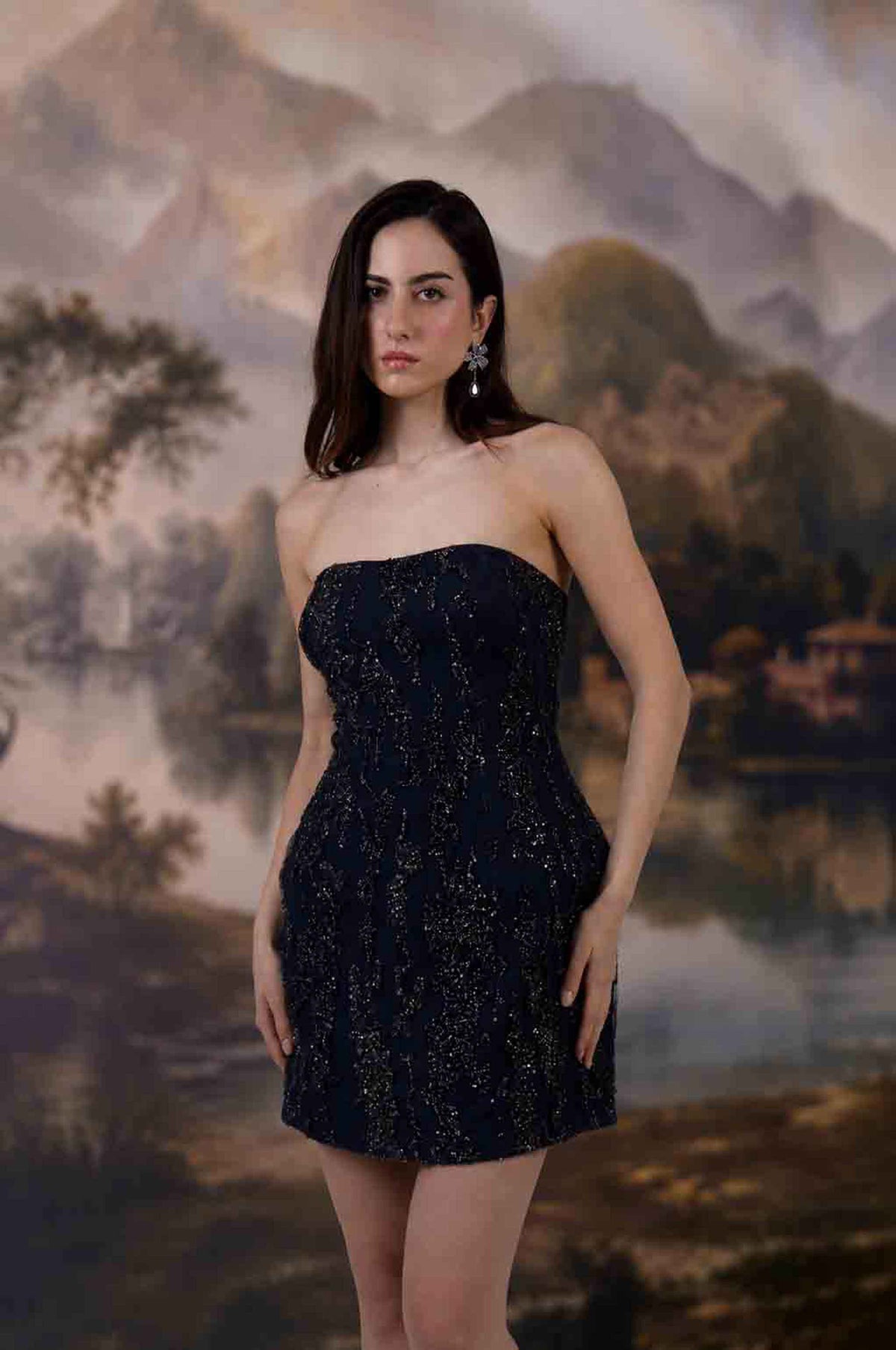Selene Embroidered Mini Dress