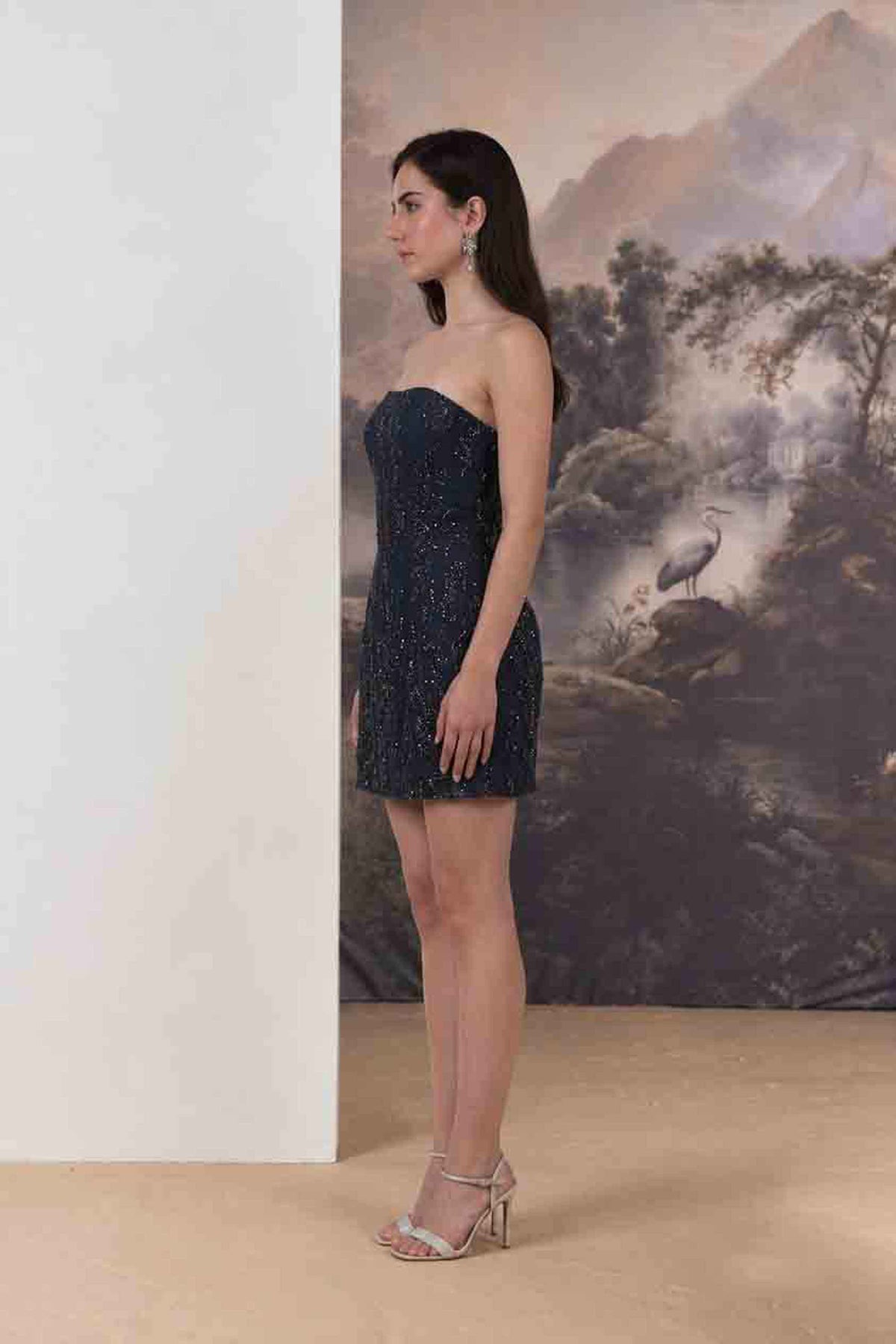 Selene Embroidered Mini Dress