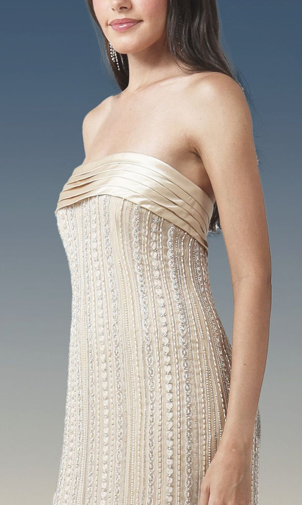 geisha designs pleated strapless dress geisha designs | Dresses | Geisha Designs Pleated Strapless Dress Anthropologie
