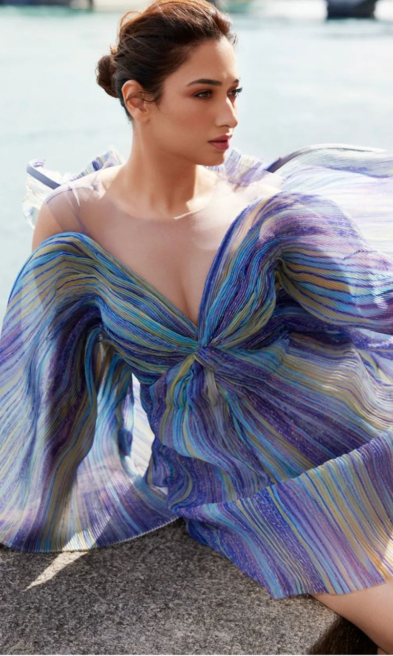 Stiffened pleats