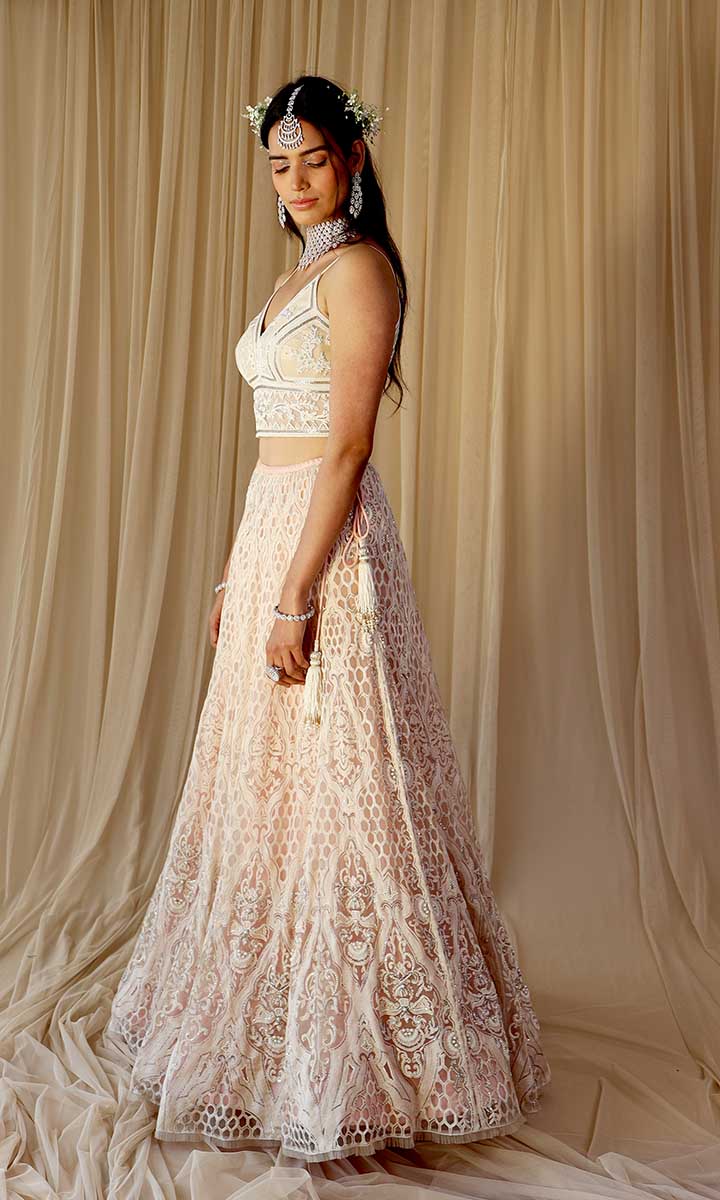Luna Delicate Lehenga Set