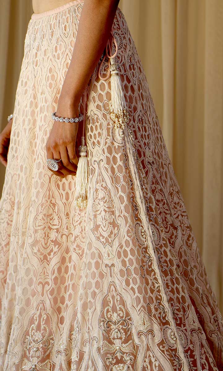 Luna Delicate Lehenga Set