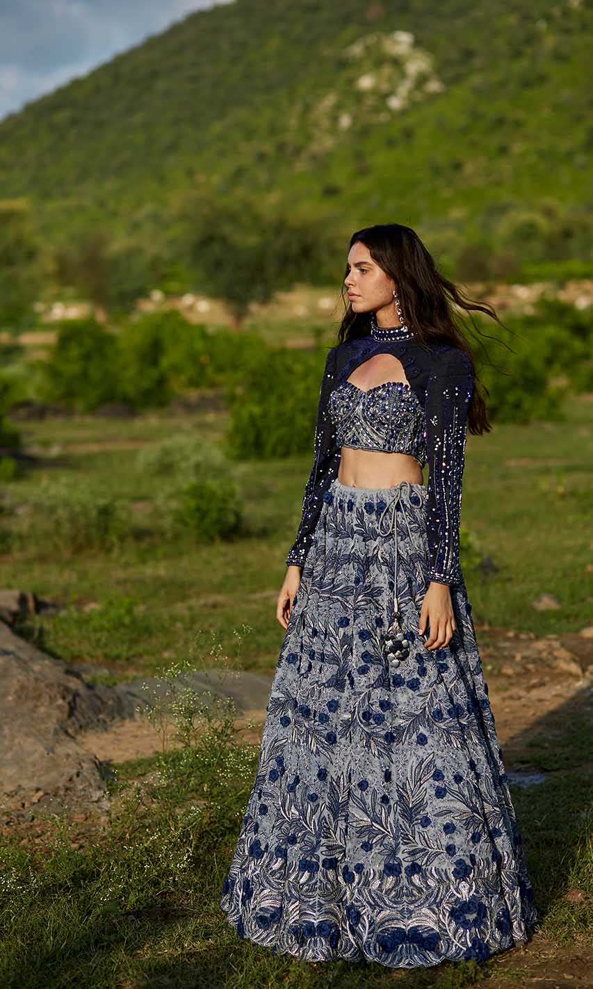 Selena Embellished Lehenga Set