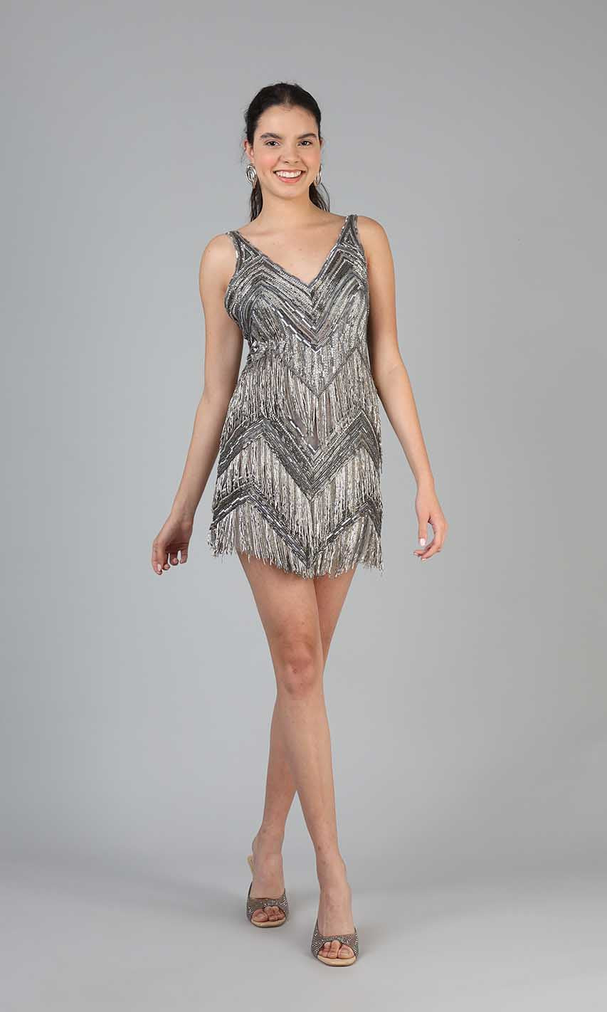 Taylor Silver  Dress