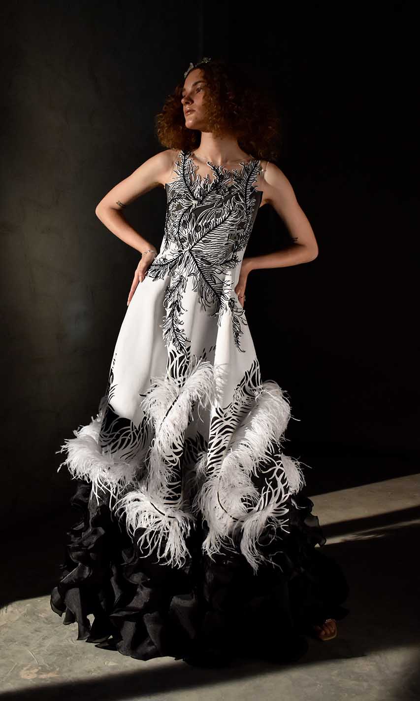 Gowns for women party wear