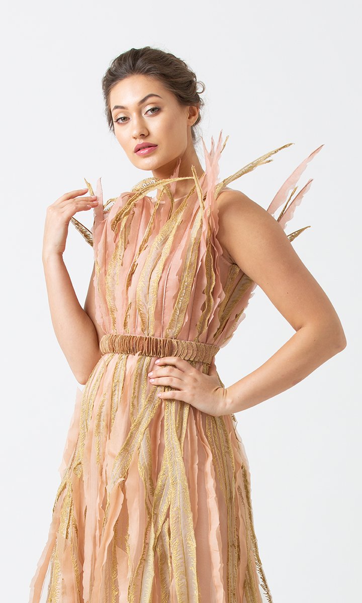 Feathers and stripes